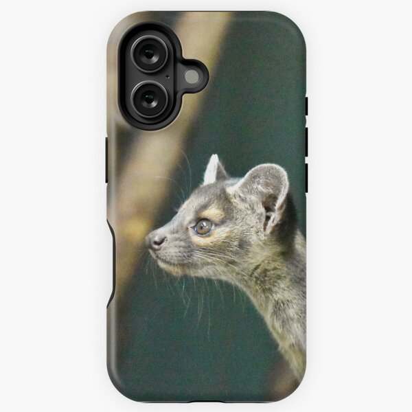 Item preview, Fossa Pup designed and sold by megjayne-photos.