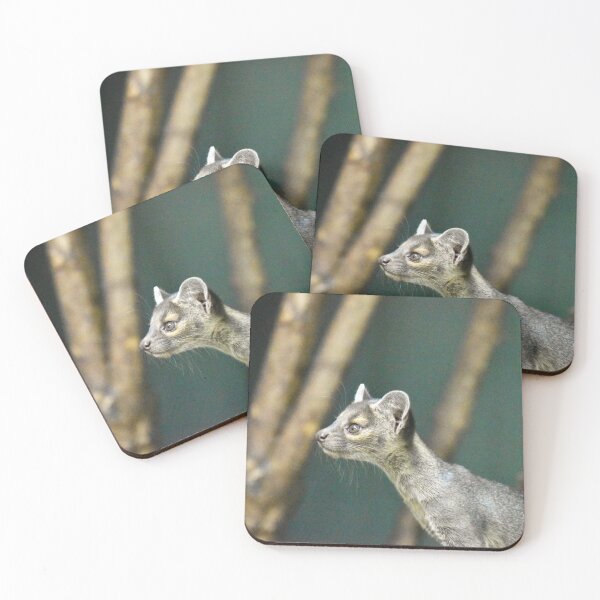 Item preview, Cachorro de fosa designed and sold by megjayne-photos.