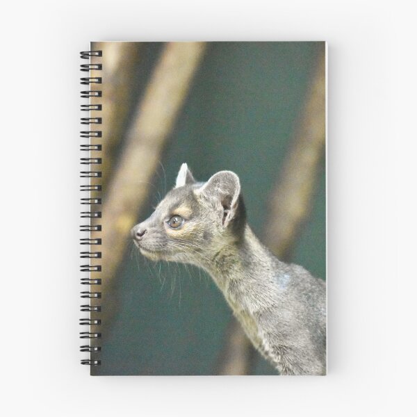 Item preview, Fossa Pup designed and sold by megjayne-photos.