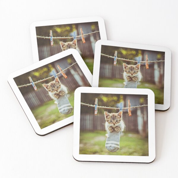 Item preview, Little kitten after washing designed and sold by Visual Arts Sławomir Grzanek.