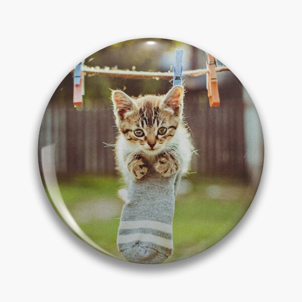 Item preview, Little kitten after washing designed and sold by Visual Arts Sławomir Grzanek.