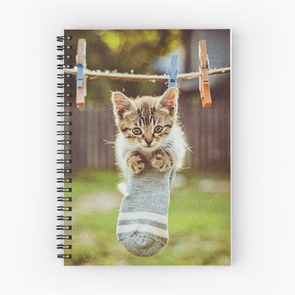Item preview, Little kitten after washing designed and sold by Visual Arts Sławomir Grzanek.