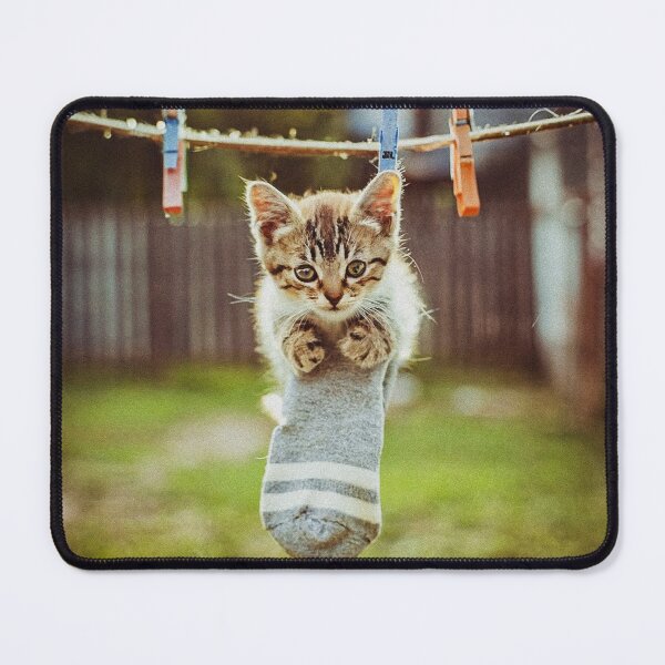 Item preview, Little kitten after washing designed and sold by Visual Arts Sławomir Grzanek.
