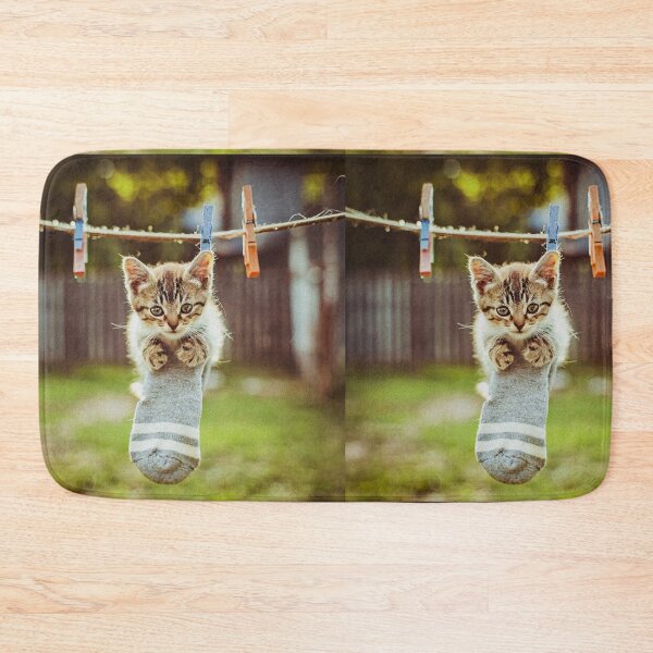 Item preview, Little kitten after washing designed and sold by Visual Arts Sławomir Grzanek.