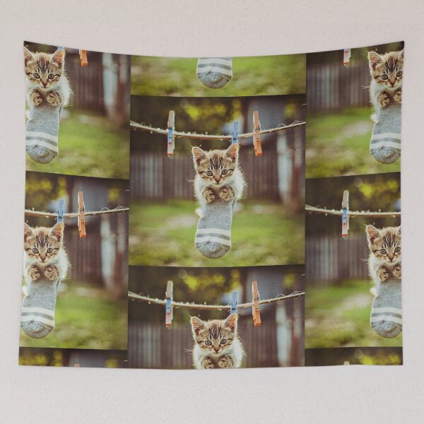 Item preview, Little kitten after washing designed and sold by Visual Arts Sławomir Grzanek.