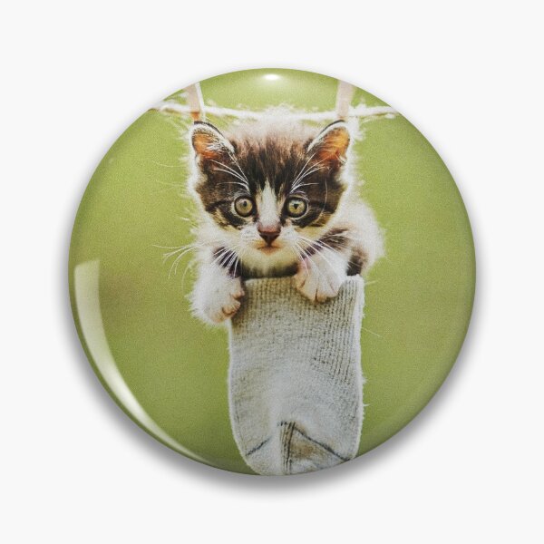 Item preview, Little kitten after washing II designed and sold by Visual Arts Sławomir Grzanek.