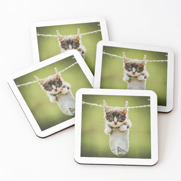 Item preview, Little kitten after washing II designed and sold by Visual Arts Sławomir Grzanek.