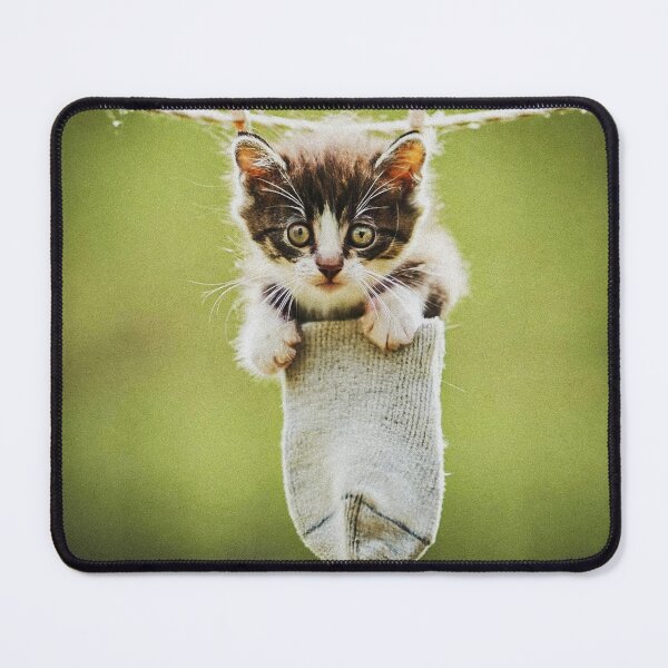 Item preview, Little kitten after washing II designed and sold by Visual Arts Sławomir Grzanek.