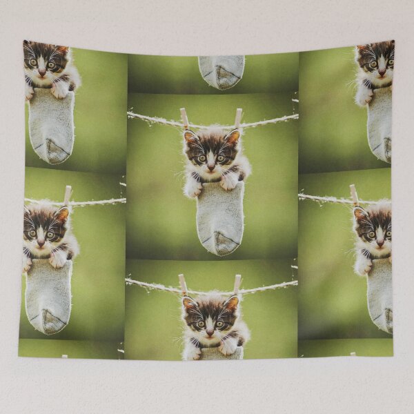 Item preview, Little kitten after washing II designed and sold by Visual Arts Sławomir Grzanek.
