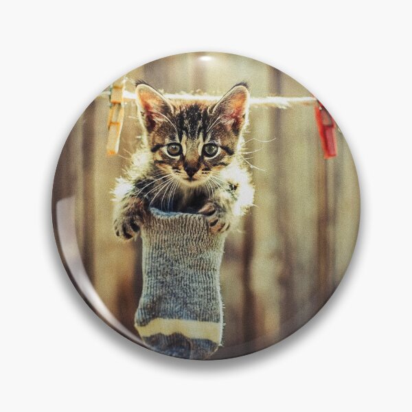 Item preview, Little kitten after washing III designed and sold by Visual Arts Sławomir Grzanek.