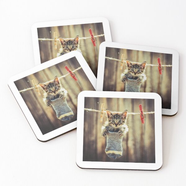Item preview, Little kitten after washing III designed and sold by Visual Arts Sławomir Grzanek.