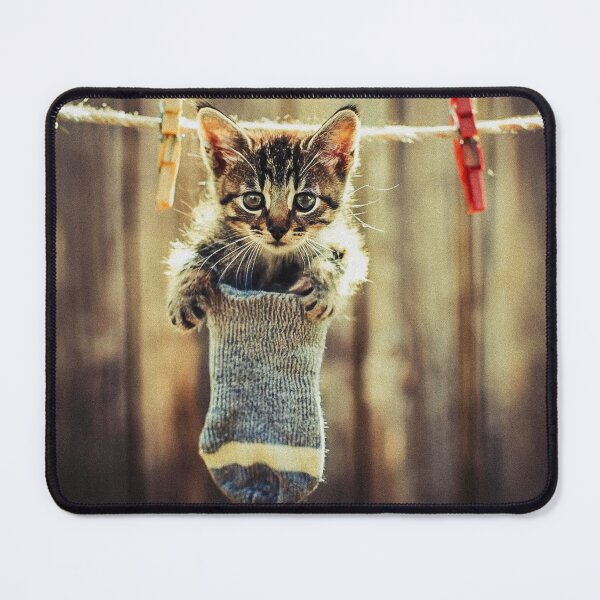 Item preview, Little kitten after washing III designed and sold by Visual Arts Sławomir Grzanek.