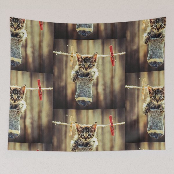 Item preview, Little kitten after washing III designed and sold by Visual Arts Sławomir Grzanek.
