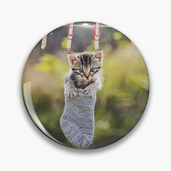 Item preview, Little kitten after washing IV designed and sold by Visual Arts Sławomir Grzanek.