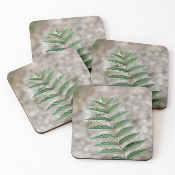 Item preview, Natural Symmetry designed and sold by LisaNaturePhoto.