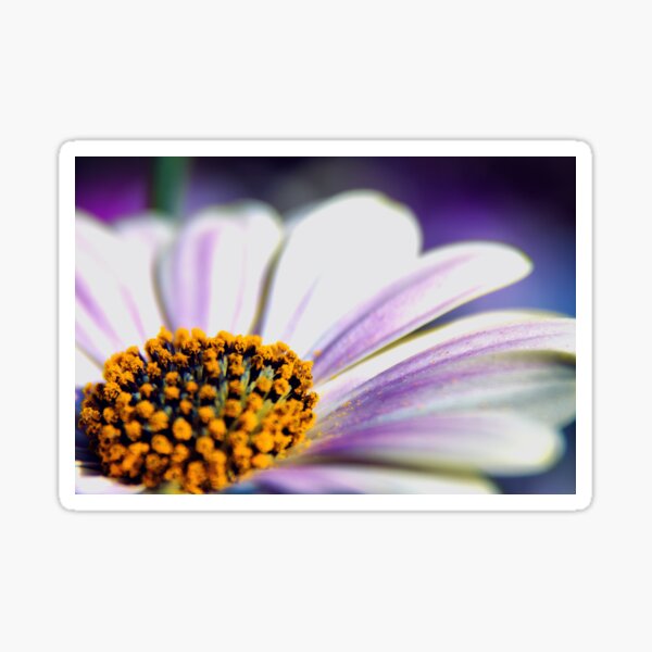 Flower close-up Sticker