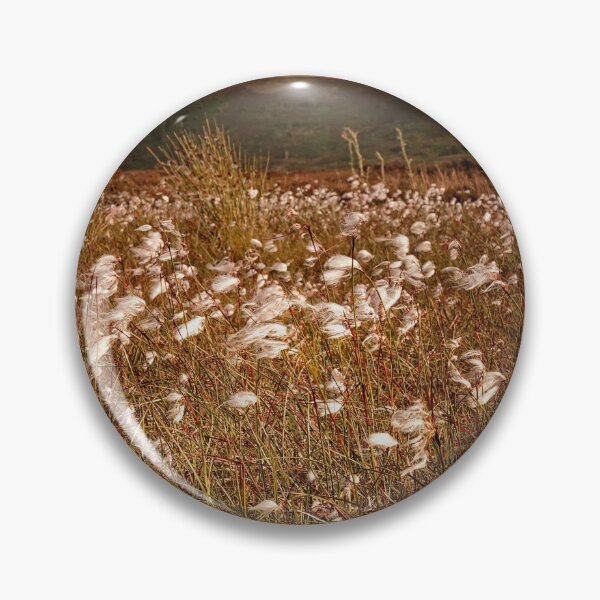 Item preview, Cotton Grass on the North York Moors designed and sold by RosRidleyPhoto.