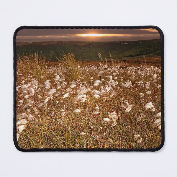Item preview, Cotton Grass on the North York Moors designed and sold by RosRidleyPhoto.