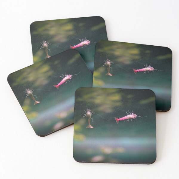 Item preview, Shrimp the size of a finger nail designed and sold by Belles-Photos.