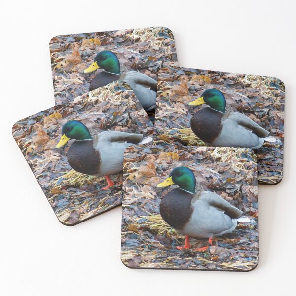 Item preview, Sitting Duck designed and sold by Tim Dusenberry.