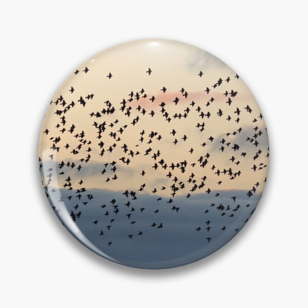 Item preview, Starling flock at sunset designed and sold by GreyFeatherPhot.