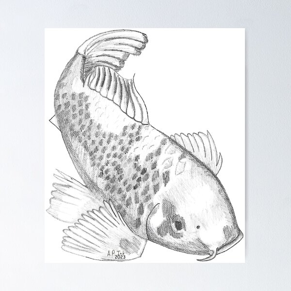 Original Fish Graphite Art For Sale