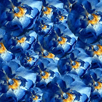 Artwork thumbnail, Blue Roses by Manitarka