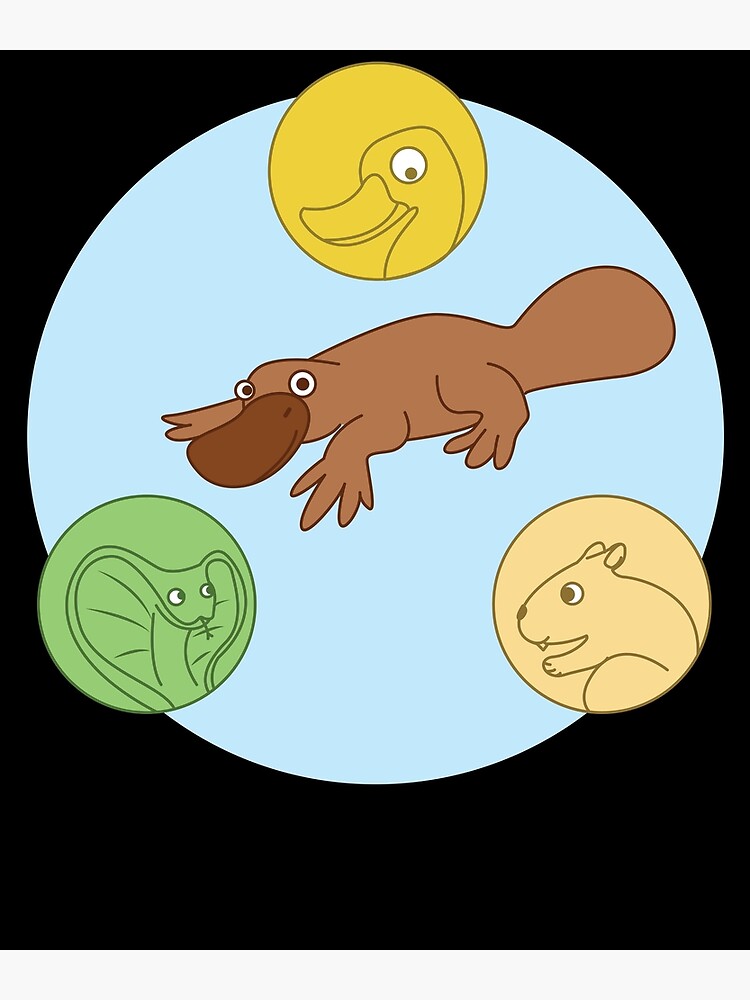 "Platypus Venn Diagram " Poster by kieranight Redbubble