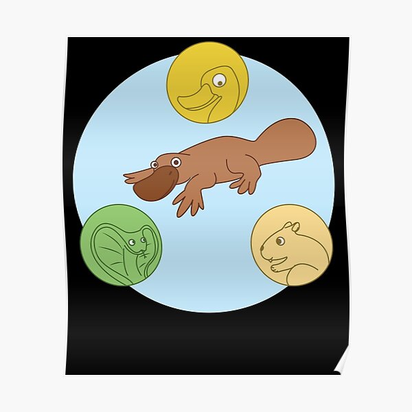 "Platypus Venn Diagram " Poster by kieranight Redbubble