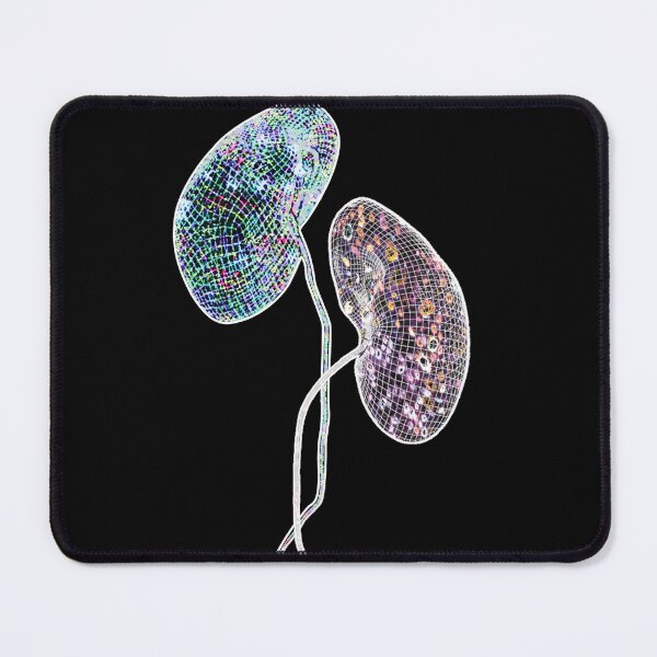 Item preview, Kidneys: Human reference atlas collection designed and sold by Hschle.