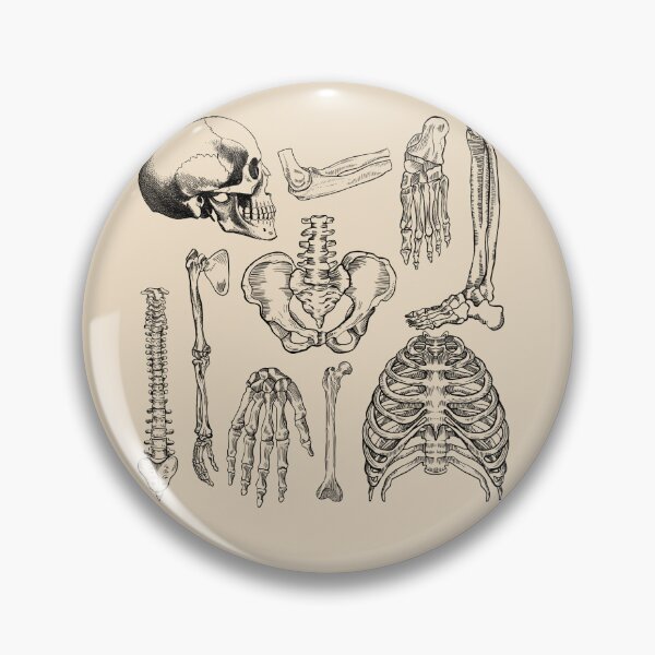 Item preview, Orthopedics - Human Anatomy bones  designed and sold by Lam Assia.