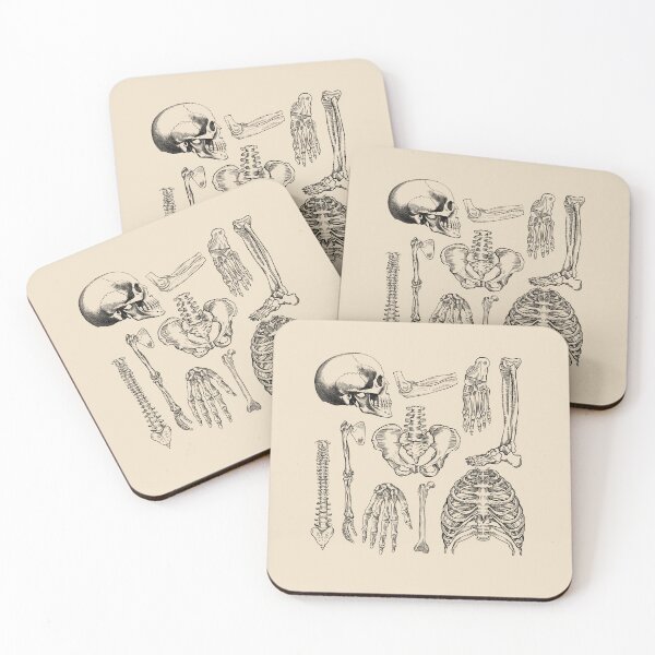 Item preview, Orthopedics - Human Anatomy bones  designed and sold by Lam Assia.