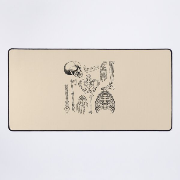 Item preview, Orthopedics - Human Anatomy bones  designed and sold by Lam Assia.