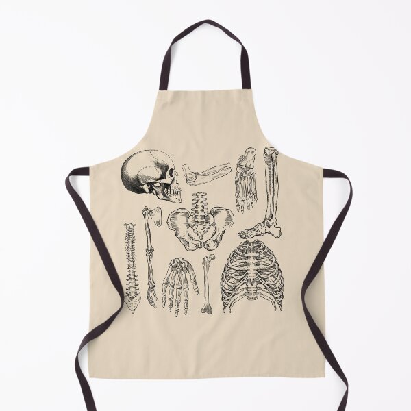 Item preview, Orthopedics - Human Anatomy bones  designed and sold by Lam Assia.