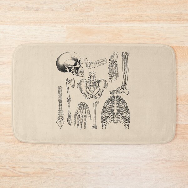 Item preview, Orthopedics - Human Anatomy bones  designed and sold by Lam Assia.