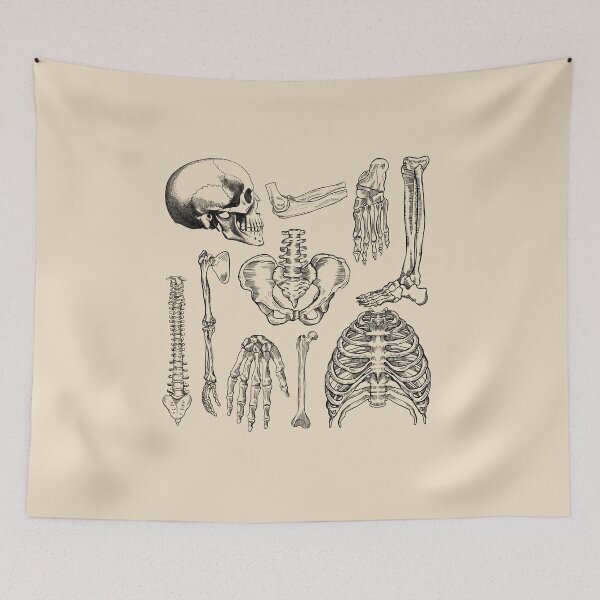 Item preview, Orthopedics - Human Anatomy bones  designed and sold by Lam Assia.