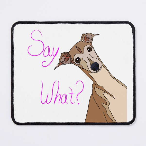 Item preview, Italian greyhound " say what?" designed and sold by BlkDogCreations.