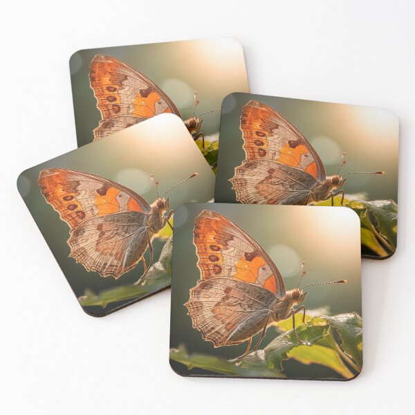 Item preview, Leafwing butterfly designed and sold by freddyaiart.