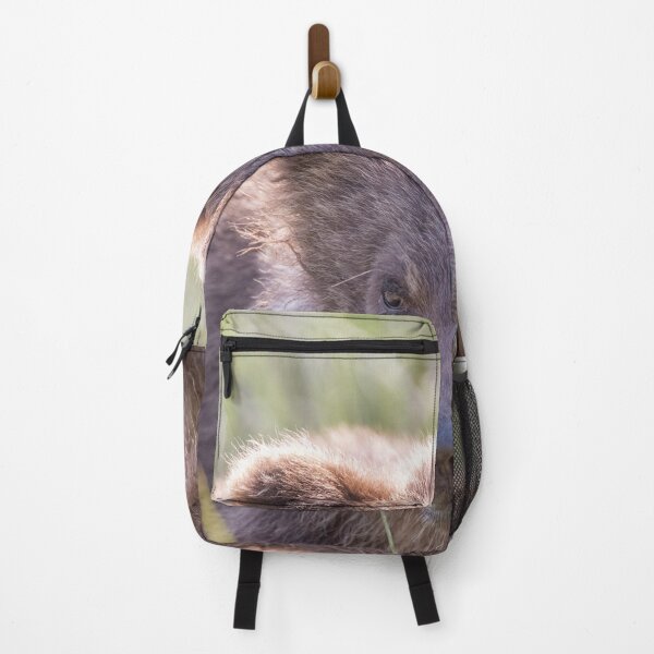 Item preview, Up Close with a Brown Bear Cub designed and sold by Betty Sederquist.