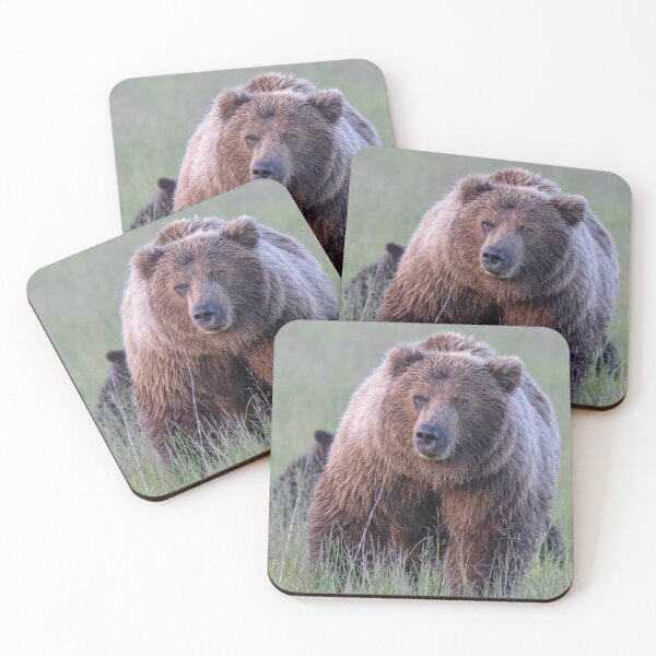 Item preview, Mama Bear Face to Face designed and sold by Betty Sederquist.