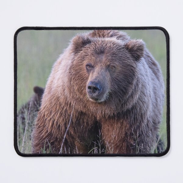 Item preview, Mama Bear Face to Face designed and sold by Betty Sederquist.