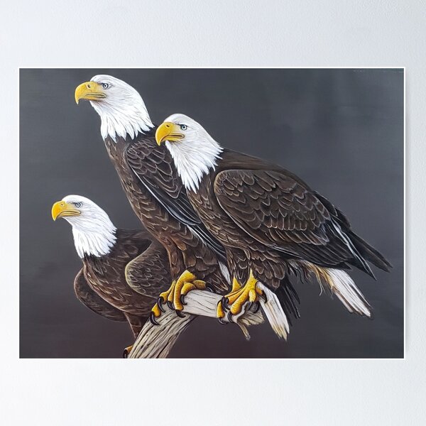 Eagle Claw ACRLJ Jumbo Canvas Creel