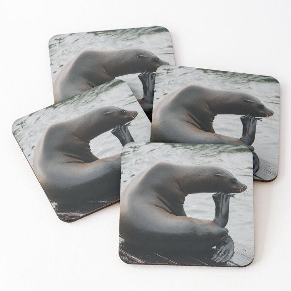 Item preview, The Thinker Sea Lion San Francisco designed and sold by MeganMatsuoka.