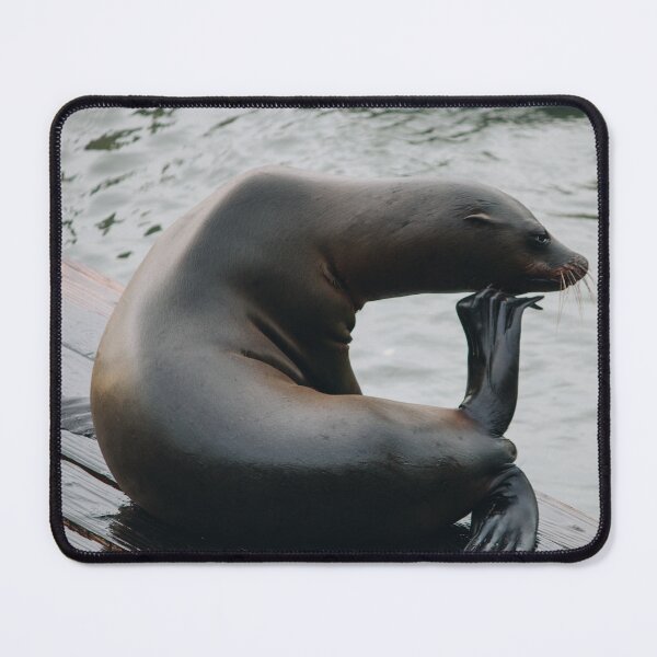 Item preview, The Thinker Sea Lion San Francisco designed and sold by MeganMatsuoka.
