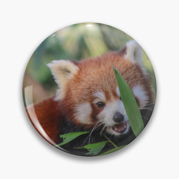 Item preview, Happy Chappy Red Panda designed and sold by KLloydPhotos.
