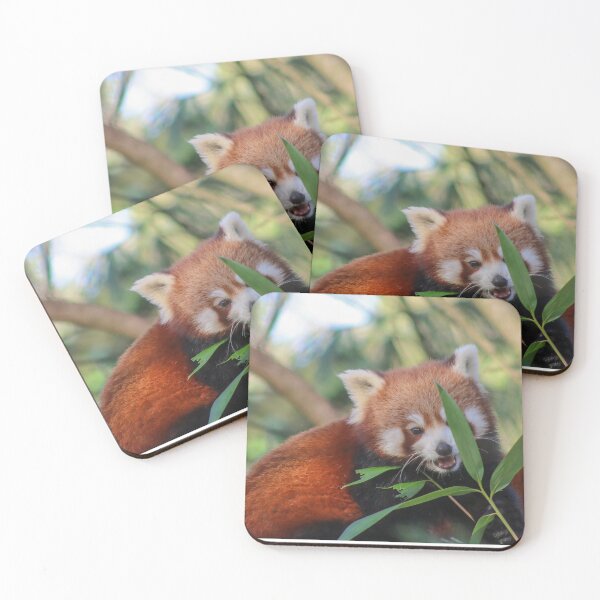 Item preview, Happy Chappy Red Panda designed and sold by KLloydPhotos.