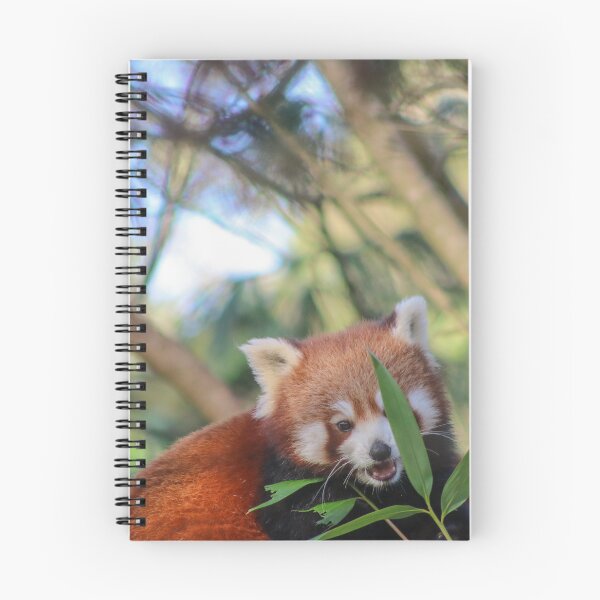 Item preview, Happy Chappy Red Panda designed and sold by KLloydPhotos.