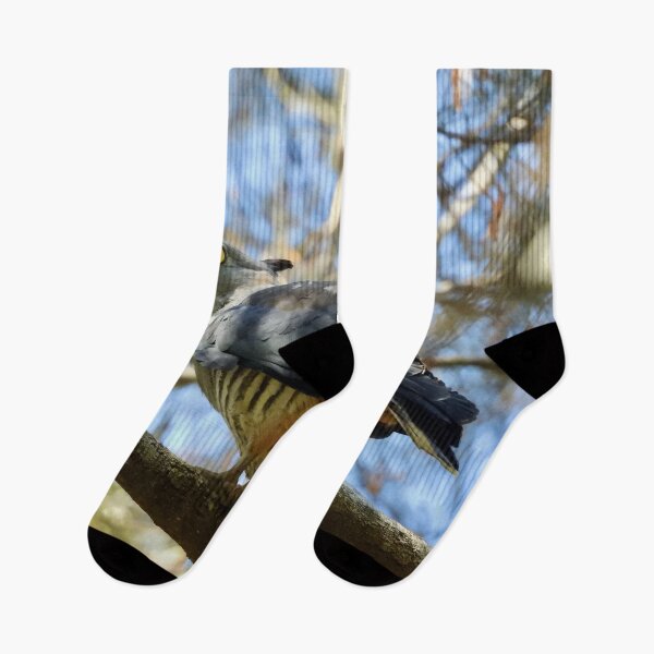 Item preview, Pacific Baza (crested Hawk) watching me  designed and sold by Mark Grimsley.