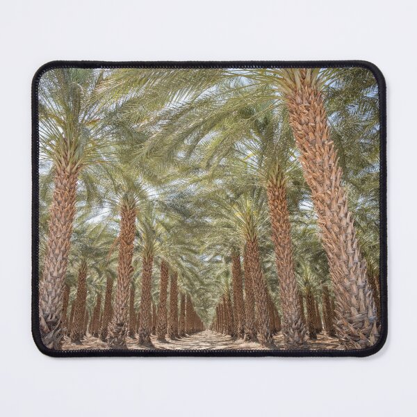 Item preview, A Captivating Row of Palm Trees designed and sold by Compass and a Camera.