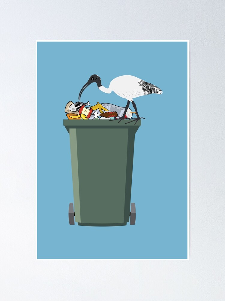 Thumbnail 1 of 3, Poster, Bin Chicken designed and sold by Meh-Ink.